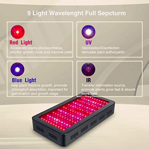 TOPLANET Led Cultivo 1000w Led para Plantas Lampara UV IR LED Full Spectrum para Interior Invernadero Hidropónico Grow Box Vegetal Germinación Floración TOPLANET Led Cultivo 1000w Led para Plantas Lampara UV IR LED Full Spectrum para Interior Invernadero Hidropónico Grow Box Vegetal Germinación Floración