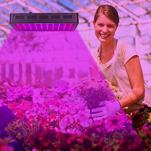 TOPLANET Led Cultivo 1000w Led para Plantas Lampara UV IR LED Full Spectrum para Interior Invernadero Hidropónico Grow Box Vegetal Germinación Floración