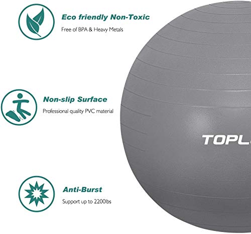 TOPLUS Pelota de Gimnasia Anti-Reventones Bola de Yoga Pilates y Ejercicio Balón para Sentarse Balon de Ejercicio para Fitness 300 kg con Bomba de Aire 65cm (Plata)