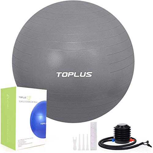 TOPLUS Pelota de Gimnasia Anti-Reventones Bola de Yoga Pilates y Ejercicio Balón para Sentarse Balon de Ejercicio para Fitness 300 kg con Bomba de Aire 65cm (Plata)