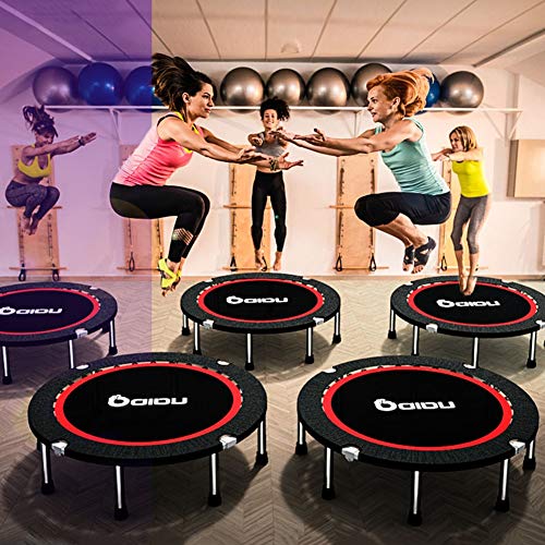 Trampolín Plegable para Interiores/Exteriores,Mini Ejercicio Ligero Y De Ejercicio Aeróbico con Gorila Aeróbica - MAX 350 Kg, 48 Pulgadas Trampolín Plegable para Interiores/Exteriores,Mini Ejercicio Ligero Y De Ejercicio Aeróbico con Gorila Aeróbica - MAX 350 Kg, 48 Pulgadas