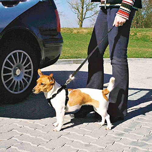 TRIXIE Arnés con cinturón de Seguridad, S, 30-60 cm, Perro