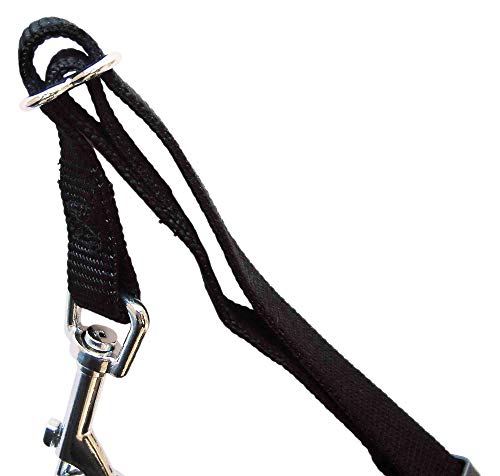 TRIXIE Arnés con cinturón de Seguridad, S, 30-60 cm, Perro TRIXIE Arnés con cinturón de Seguridad, S, 30-60 cm, Perro