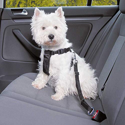 TRIXIE Arnés con cinturón de Seguridad, S, 30-60 cm, Perro TRIXIE Arnés con cinturón de Seguridad, S, 30-60 cm, Perro