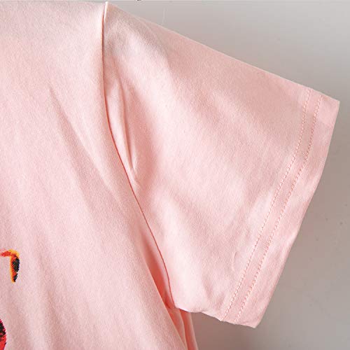 TTYAOVO Juego de Ropa de Princesa de Verano para Niñas Camiseta de Manga Corta de Dibujos Animados + Falda de Tutú de Tul 2 Piezas Trajes 3-4 años(Talla 110) 629 Rosado TTYAOVO Juego de Ropa de Princesa de Verano para Niñas Camiseta de Manga Corta de Dibujos Animados + Falda de Tutú de Tul 2 Piezas Trajes 3-4 años(Talla 110) 629 Rosado