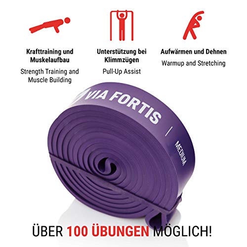 VIA FORTIS Banda Elástica de Resistencia Cuerda de Fuerza para Fitness, Crossfit, Pilates, Estiramientos| Incluye Bolsa de Transporte | 5 Niveles de Resistencia Diferentes (3 - Medium (Morado)) VIA FORTIS Banda Elástica de Resistencia Cuerda de Fuerza para Fitness, Crossfit, Pilates, Estiramientos| Incluye Bolsa de Transporte | 5 Niveles de Resistencia Diferentes (3 - Medium (Morado))