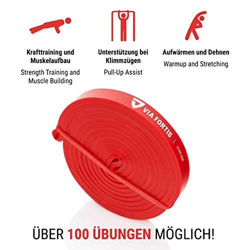 VIA FORTIS Banda Elástica de Resistencia Cuerda de Fuerza para Fitness, Crossfit, Pilates, Estiramientos| Incluye Bolsa de Transporte | 5 Niveles de Resistencia Diferentes (1 - Ultra Light (Rojo)) VIA FORTIS Banda Elástica de Resistencia Cuerda de Fuerza para Fitness, Crossfit, Pilates, Estiramientos| Incluye Bolsa de Transporte | 5 Niveles de Resistencia Diferentes (1 - Ultra Light (Rojo))