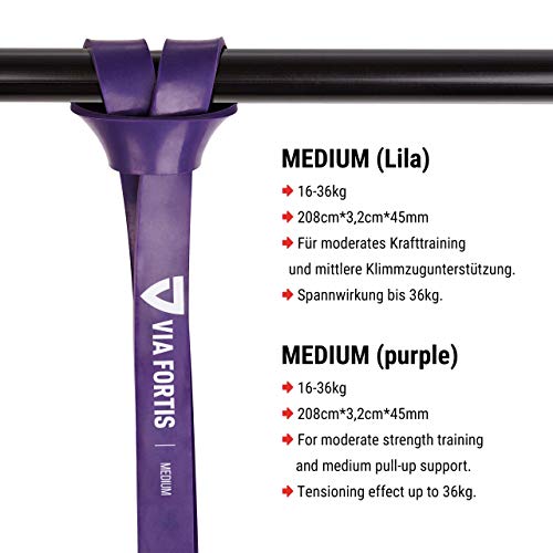 VIA FORTIS Banda Elástica de Resistencia Cuerda de Fuerza para Fitness, Crossfit, Pilates, Estiramientos| Incluye Bolsa de Transporte | 5 Niveles de Resistencia Diferentes (1 - Ultra Light (Rojo)) VIA FORTIS Banda Elástica de Resistencia Cuerda de Fuerza para Fitness, Crossfit, Pilates, Estiramientos| Incluye Bolsa de Transporte | 5 Niveles de Resistencia Diferentes (1 - Ultra Light (Rojo))