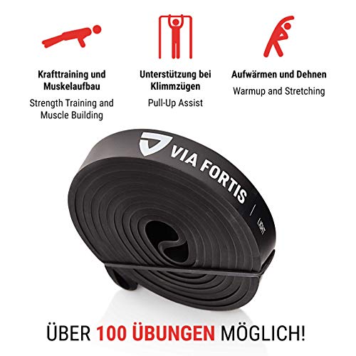 VIA FORTIS Oferta: Banda Elástica de Resistencia Cuerda de Fuerza para Fitness, Crossfit, Pilates, Estiramientos| Incluye Bolsa de Transporte | 5 Niveles de Resistencia Diferentes (2 - Light (Negro)) VIA FORTIS Oferta: Banda Elástica de Resistencia Cuerda de Fuerza para Fitness, Crossfit, Pilates, Estiramientos| Incluye Bolsa de Transporte | 5 Niveles de Resistencia Diferentes (2 - Light (Negro))