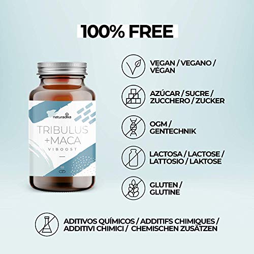 VIBOOST TRIBULUS MACA | Con ZINC: específico para hombres que dan el máximo | Con MACA ANDINA capsulas y TRIBULUS TERRESTRIS | Enriquecido con Rhodiola | 60 cápsulas