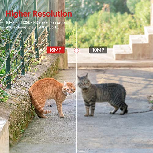Victure Camara de Caza con Detector de Movimiento Nocturna 16MP Fototrampeo 1080P Full HD Infrared No Glow IP66 Camara Impermeable para Animales Salvajes para Seguridad en el Hogar Monitoreo Victure Camara de Caza con Detector de Movimiento Nocturna 16MP Fototrampeo 1080P Full HD Infrared No Glow IP66 Camara Impermeable para Animales Salvajes para Seguridad en el Hogar Monitoreo