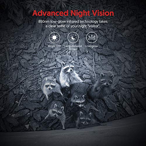 Victure Camara de Caza con Detector de Movimiento Nocturna 16MP Fototrampeo 1080P Full HD Infrared No Glow IP66 Camara Impermeable para Animales Salvajes para Seguridad en el Hogar Monitoreo Victure Camara de Caza con Detector de Movimiento Nocturna 16MP Fototrampeo 1080P Full HD Infrared No Glow IP66 Camara Impermeable para Animales Salvajes para Seguridad en el Hogar Monitoreo