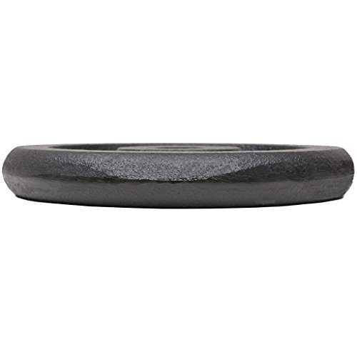 vidaXL 2X Discos de Pesas de Hierro Fundido 30 kg Fitness Musculación Gimnasio vidaXL 2X Discos de Pesas de Hierro Fundido 30 kg Fitness Musculación Gimnasio