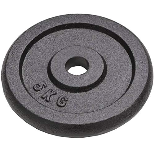 vidaXL 2X Discos de Pesas de Hierro Fundido 30 kg Fitness Musculación Gimnasio vidaXL 2X Discos de Pesas de Hierro Fundido 30 kg Fitness Musculación Gimnasio
