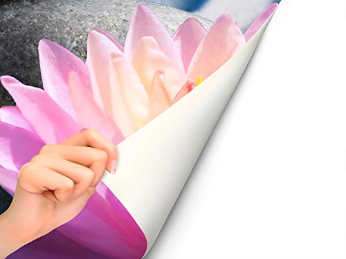 Vinilo para Frigorífico Piedra Blanca, Flor de Loto y Arena Zen 185x70cm | Adhesivo Resistente y Económico | Pegatina Adhesiva Decorativa de Diseño Elegante