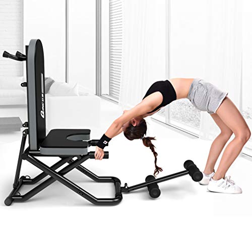 Virtpers Taburete con Mancuernas portátil Culturismo Body-Up Banco de Gimnasia para el hogar Silla de Aerobics mutacional Equipo de Gimnasia Virtpers Taburete con Mancuernas portátil Culturismo Body-Up Banco de Gimnasia para el hogar Silla de Aerobics mutacional Equipo de Gimnasia