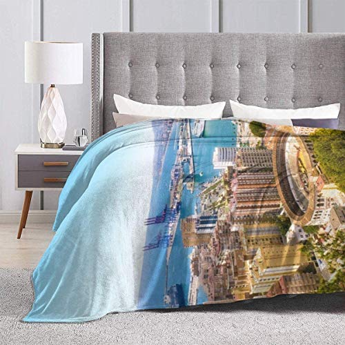 Vista aérea de Málaga con la plaza de toros y el puerto España Ciudad europea tradicional Franela de felpa Suave manta de tiro Manta de cama de lujo acogedora súper suave negra Microfibra 50 "x40"