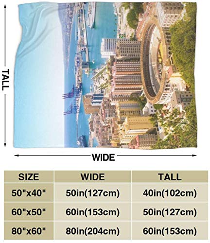 Vista aérea de Málaga con la plaza de toros y el puerto España Ciudad europea tradicional Franela de felpa Suave manta de tiro Manta de cama de lujo acogedora súper suave negra Microfibra 50 "x40" Vista aérea de Málaga con la plaza de toros y el puerto España Ciudad europea tradicional Franela de felpa Suave manta de tiro Manta de cama de lujo acogedora súper suave negra Microfibra 50 "x40"