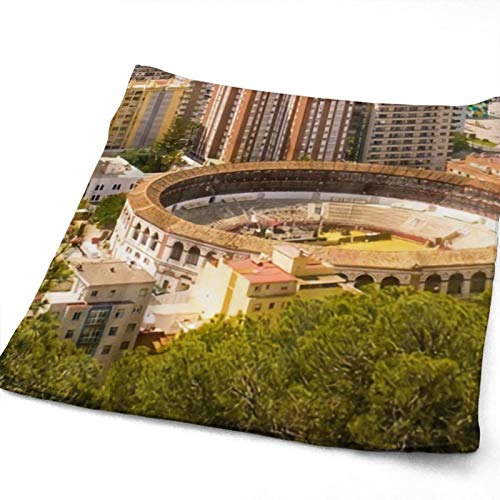 Vista aérea de Málaga con Plaza de toros y Puerto España Tradicional Ciudad Europea Toalla de Mano, Toalla de Viaje, Toalla de baño, Toallitas Muy absorbentes Toallas Multiusos 70x30 cm