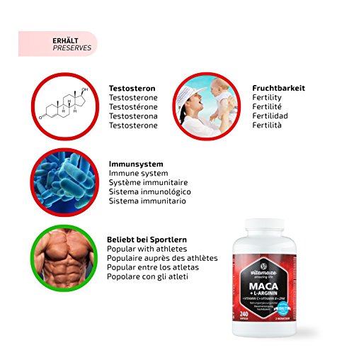 Vitamaze® Maca Pura Cápsulas de Alta Dosis 4000 mg + L-Arginina + Vitaminas + Zinc, 240 Cápsulas por 2 Meses, Maca Peruana de los Andina, sin Aditivos Innecesarios, Calidad Alemana Vitamaze® Maca Pura Cápsulas de Alta Dosis 4000 mg + L-Arginina + Vitaminas + Zinc, 240 Cápsulas por 2 Meses, Maca Peruana de los Andina, sin Aditivos Innecesarios, Calidad Alemana