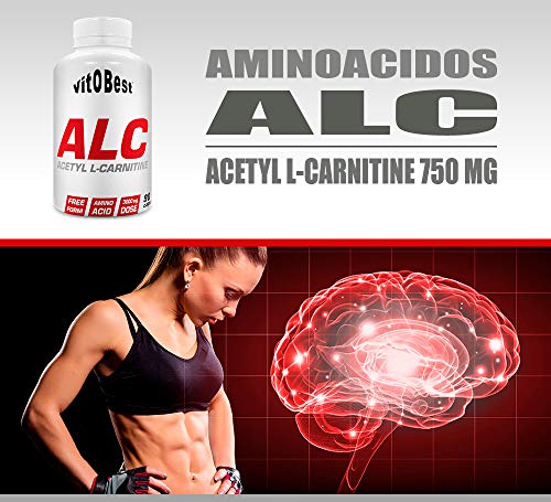 VITOBEST ALC ACETYL L-CARNITINE (90 CAPS) - Suplementos Alimentación y Suplementos Deportivos - Vitobest