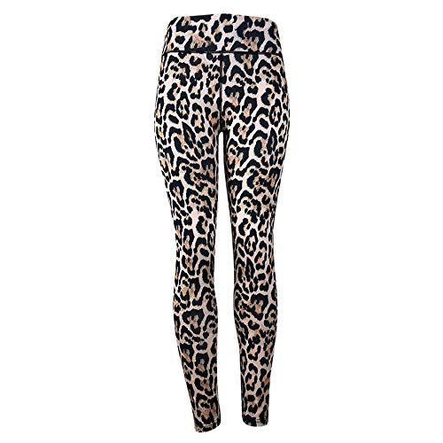 VJGOAL Moda Casual de Las Mujeres de Cintura Alta Sexy Leopardo Imprimir Yoga Pantalones Leggings Deportes Gimnasio Correr Fitness Pantalones Elasticidad Pantalones de chándal(Medium,Amarillo) VJGOAL Moda Casual de Las Mujeres de Cintura Alta Sexy Leopardo Imprimir Yoga Pantalones Leggings Deportes Gimnasio Correr Fitness Pantalones Elasticidad Pantalones de chándal(Medium,Amarillo)