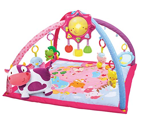 VTech Mantita de juego cantarín 2 en 1, manta y gimnasio de aprendizaje para bebé con más de 40 canciones, frases y melodías, panel extraíble, color rosa (80-146457) VTech Mantita de juego cantarín 2 en 1, manta y gimnasio de aprendizaje para bebé con más de 40 canciones, frases y melodías, panel extraíble, color rosa (80-146457)