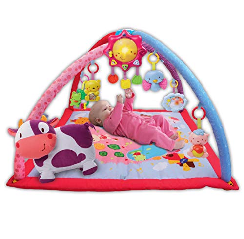 VTech Mantita de juego cantarín 2 en 1, manta y gimnasio de aprendizaje para bebé con más de 40 canciones, frases y melodías, panel extraíble, color rosa (80-146457) VTech Mantita de juego cantarín 2 en 1, manta y gimnasio de aprendizaje para bebé con más de 40 canciones, frases y melodías, panel extraíble, color rosa (80-146457)