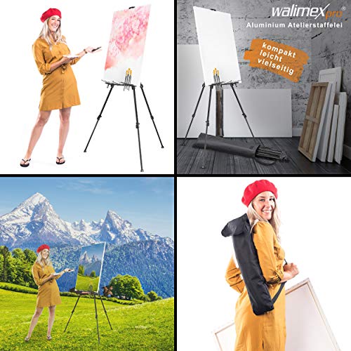Walimex pro AIR 200 Soporte de luz 200cm - Trípode con suspensión neumática altura máxima 200 cm, carga 4,5 kg, aluminio, para estudio fotográfico o exterior, con bolsa Walimex pro AIR 200 Soporte de luz 200cm - Trípode con suspensión neumática altura máxima 200 cm, carga 4,5 kg, aluminio, para estudio fotográfico o exterior, con bolsa