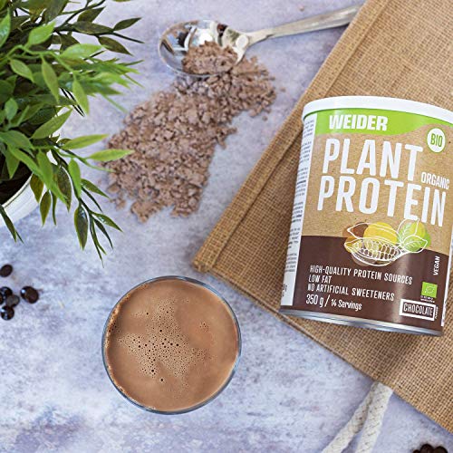 Weider Plant Organic Protein Chocolate 350 gr, Bio, sin edulcorantes artificiales, 100% natural, No GMO