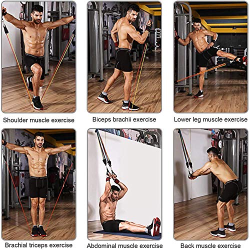 WELLXUNK® Bandas Elasticas Musculacion, Bandas de Resistencia Fitness Cintas Elasticas Musculacion para Yoga, Estiramientos, Muscular, Fuerza, Tubos de Látex, Manijas, Correa de Tobillo WELLXUNK® Bandas Elasticas Musculacion, Bandas de Resistencia Fitness Cintas Elasticas Musculacion para Yoga, Estiramientos, Muscular, Fuerza, Tubos de Látex, Manijas, Correa de Tobillo