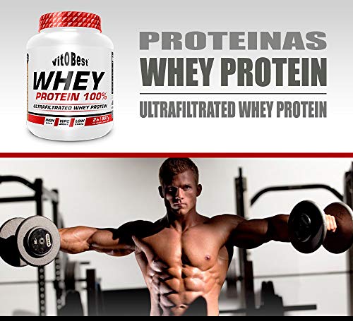 WHEY PROTEIN 100% 2 lb CHOCOLATE - Suplementos Alimentación y Suplementos Deportivos - Vitobest