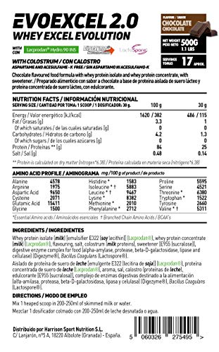 Whey Protein Isolate + Concentrate de HSN Evoexcel 2.0 | Batido de Proteínas con Enzimas Digestivas + Probióticos + Calostro | Vegetariano, Sabor Chocolate, 500g