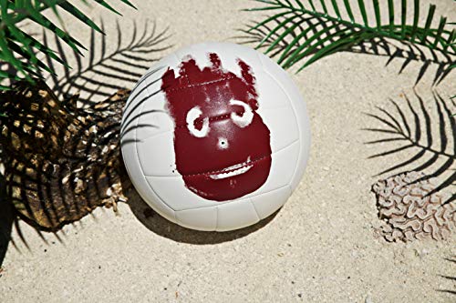 Wilson WTH4615XDEF Pelota de Voleibol Castaway Mini Mr Cuero sintético, Unisex Adulto, Blanco, Talla única