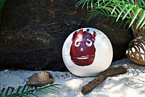 Wilson WTH4615XDEF Pelota de Voleibol Castaway Mini Mr Cuero sintético, Unisex Adulto, Blanco, Talla única