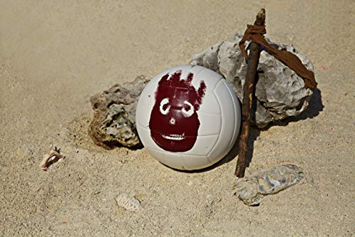 Wilson WTH4615XDEF Pelota de Voleibol Castaway Mini Mr Cuero sintético, Unisex Adulto, Blanco, Talla única