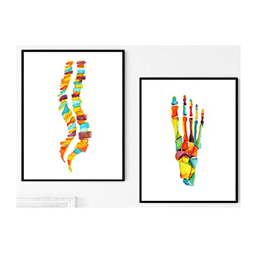 WJWGP Acuarela Huesos del Pie Poster Humanos AnatomíA Espinal Columna Cuerpo Poster Impresiones MéDicos ClíNica Acuarela Pintura Decoracion Pintura De Decoracion De Dormitorio 40x60cmx2 No Marco