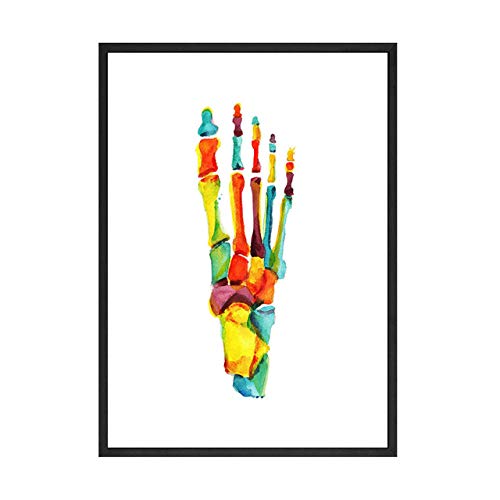 WJWGP Acuarela Huesos del Pie Poster Humanos AnatomíA Espinal Columna Cuerpo Poster Impresiones MéDicos ClíNica Acuarela Pintura Decoracion Pintura De Decoracion De Dormitorio 40x60cmx2 No Marco