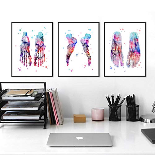 WJWGP Pies De La Lona AnatomíA ClíNica Decoracion De La EducacióN Pies Conjunto Acuarela Pintura Pie Huesos Medicina Pared Arte Imprimir Esqueleto Cuadro 40x60cmx3 No Marco Esqueleto WJWGP Pies De La Lona AnatomíA ClíNica Decoracion De La EducacióN Pies Conjunto Acuarela Pintura Pie Huesos Medicina Pared Arte Imprimir Esqueleto Cuadro 40x60cmx3 No Marco Esqueleto