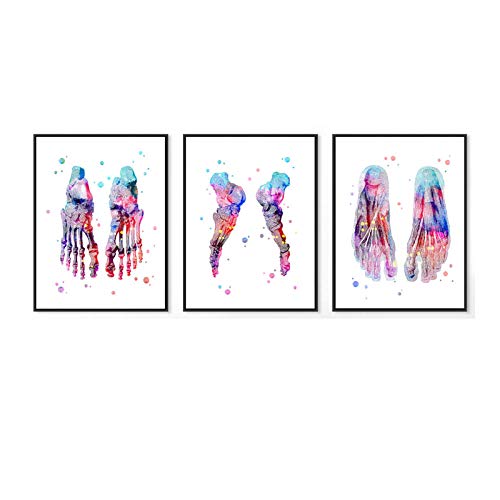 WJWGP Pies De La Lona AnatomíA ClíNica Decoracion De La EducacióN Pies Conjunto Acuarela Pintura Pie Huesos Medicina Pared Arte Imprimir Esqueleto Cuadro 40x60cmx3 No Marco Esqueleto WJWGP Pies De La Lona AnatomíA ClíNica Decoracion De La EducacióN Pies Conjunto Acuarela Pintura Pie Huesos Medicina Pared Arte Imprimir Esqueleto Cuadro 40x60cmx3 No Marco Esqueleto