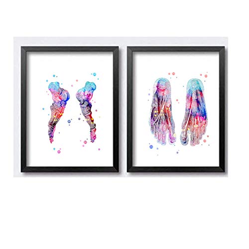 WJWGP Pies Imprimir Conjunto Esqueleto EducacióN Poster Acuarela Arte Pintura Pie Huesos AnatomíA Medicina Pared Arte Imprimir ClíNica Decoracion Cuadro 40x60cmx2 No Marco -1 WJWGP Pies Imprimir Conjunto Esqueleto EducacióN Poster Acuarela Arte Pintura Pie Huesos AnatomíA Medicina Pared Arte Imprimir ClíNica Decoracion Cuadro 40x60cmx2 No Marco -1