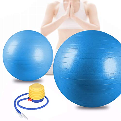 wolketon Gym Ball Balance Ball Fitness Yoga Core Pelvic Ejercicio Ball Máxima Resistencia 300 kg Pilates Ball Yoga