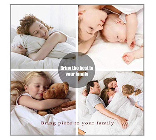 WPHRL Juegos de Cama Juego de Fundas de Edredón Nórdico y de Almohada (Microfibra) Erizo Madre e Hijo 220x240cm 2 Fundas 50 x 75 cm