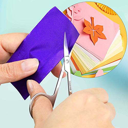 Wuudi Juego de 11 herramientas para manualidades de vinilo, de acero inoxidable, accesorios para silueta, HTV, cameos, rotulación Wuudi Juego de 11 herramientas para manualidades de vinilo, de acero inoxidable, accesorios para silueta, HTV, cameos, rotulación