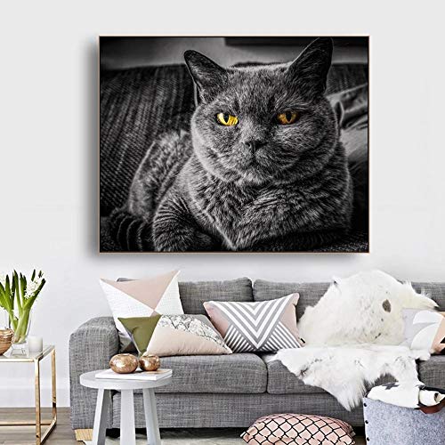 WXDQ Póster artístico de Pared de Gato Azul Ruso con Estampado de Animales en Lienzo Cuadro de Pintura para decoración de Sala de estar-50x70cmx1 Piezas sin Marco WXDQ Póster artístico de Pared de Gato Azul Ruso con Estampado de Animales en Lienzo Cuadro de Pintura para decoración de Sala de estar-50x70cmx1 Piezas sin Marco