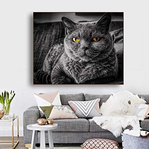 WXDQ Póster artístico de Pared de Gato Azul Ruso con Estampado de Animales en Lienzo Cuadro de Pintura para decoración de Sala de estar-50x70cmx1 Piezas sin Marco