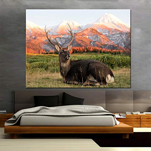 wZUN Cuadro en Lienzo para Pared de Sala de Estar, póster artístico, 1 Tablero de Renos en la montaña Nevada, Imagen de impresión HD Moderna, decoración del hogar 50x70cm