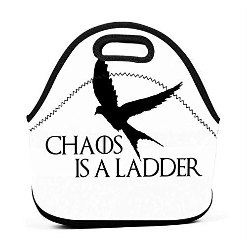 XCNGG El caos es una escalera para hombres, mujeres, niños, bolsa de almuerzo aislada, caja de almuerzo reutilizable para el trabajo, picnic, escuela