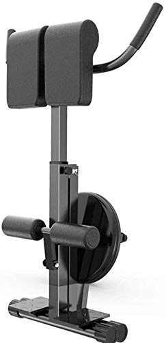 XiYou Banco de Pesas Ajustable 90 & deg; Silla Romana Plegable de hiperextensión con Respaldo Plano Abdominal para Abdominales/extensión de Espalda/estación de inmersión Multi-Workout Home Gym, so