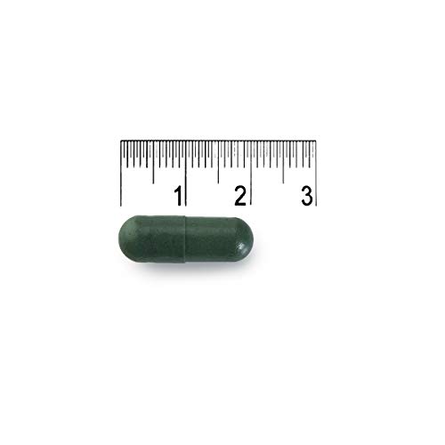 XL-S Kilos Centímetros Captagrasas Adelgazante, Tratamiento para Perder Peso, Reductor de Apetito con Guaraná y Ginseng - Pack Duplo 2 x 30 Comprimidos, 1 Mes de Tratamiento XL-S Kilos Centímetros Captagrasas Adelgazante, Tratamiento para Perder Peso, Reductor de Apetito con Guaraná y Ginseng - Pack Duplo 2 x 30 Comprimidos, 1 Mes de Tratamiento